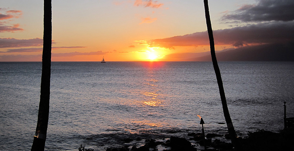 Sunset Shores Maui Banner