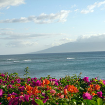 View of the Island Lana'i