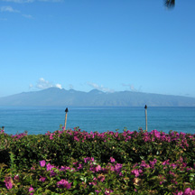 Molokai View