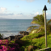 Molokai Ocean