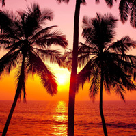 Sunset Shores Maui Review